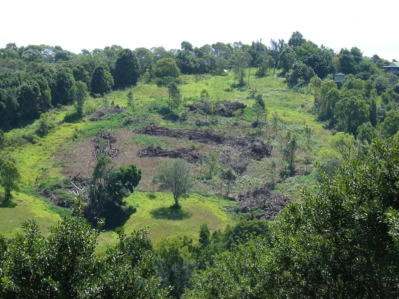 3 Cemetery Road, Bangalow NSW 2479