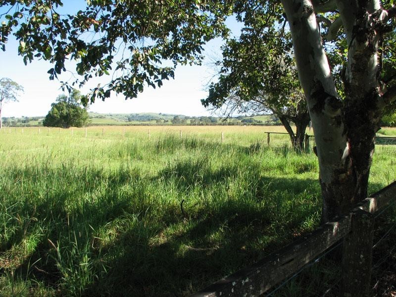 41 Eltham Road, Bexhill NSW 2480