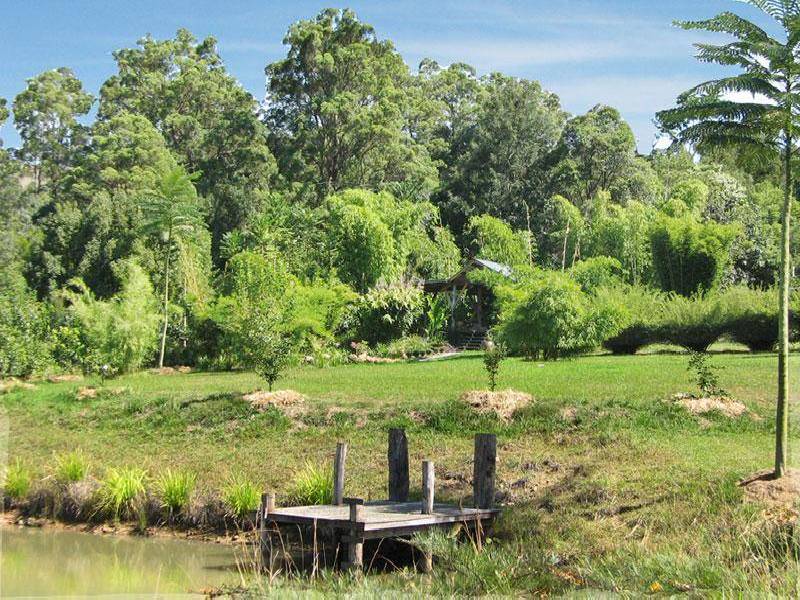 453 TUNTABLE CREEK ROAD, The Channon NSW 2480