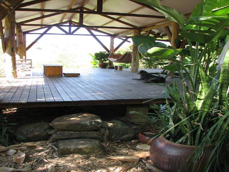 453 TUNTABLE CREEK ROAD, The Channon NSW 2480