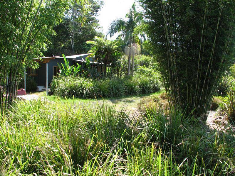 453 TUNTABLE CREEK ROAD, The Channon NSW 2480