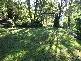 71 COSY CAMP ROAD, Bexhill NSW 2480