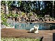 3 PINE MOUNTAIN ROAD, Possum Creek NSW 2479