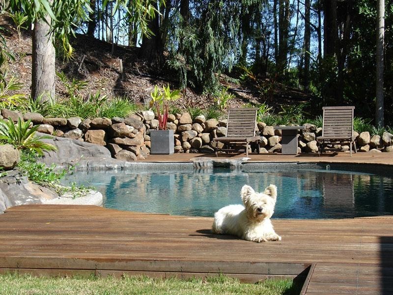 3 PINE MOUNTAIN ROAD, Possum Creek NSW 2479