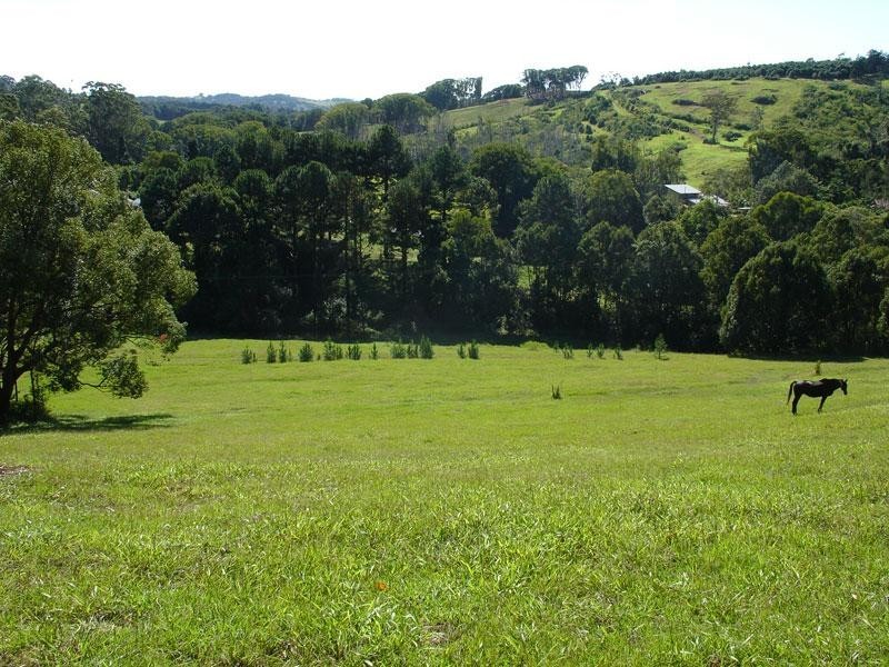 3 PINE MOUNTAIN ROAD, Possum Creek NSW 2479