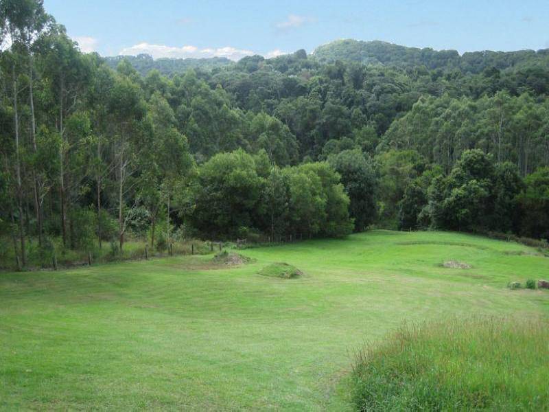 102 EUREKA ROAD, Rosebank NSW 2480