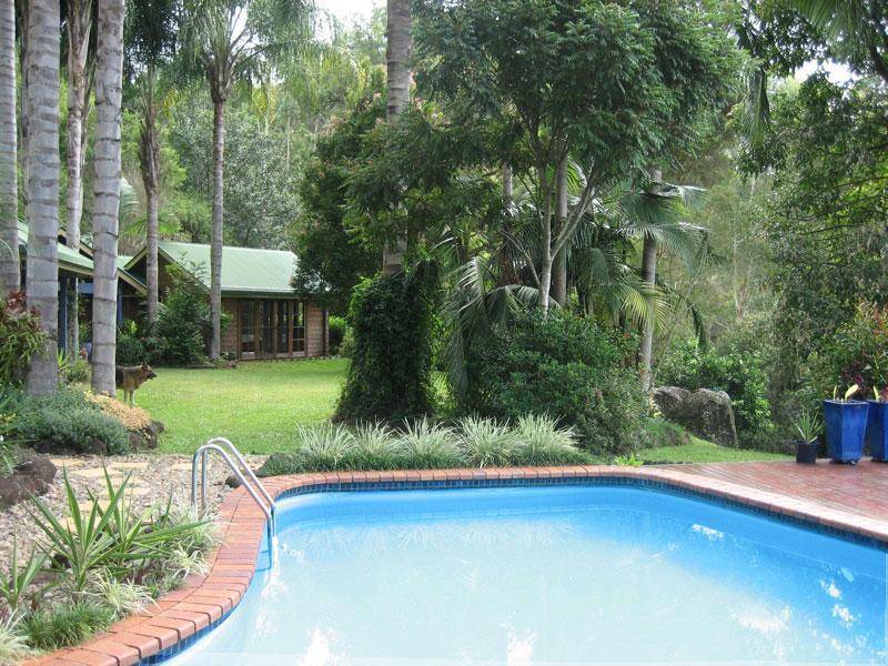 102 EUREKA ROAD, Rosebank NSW 2480