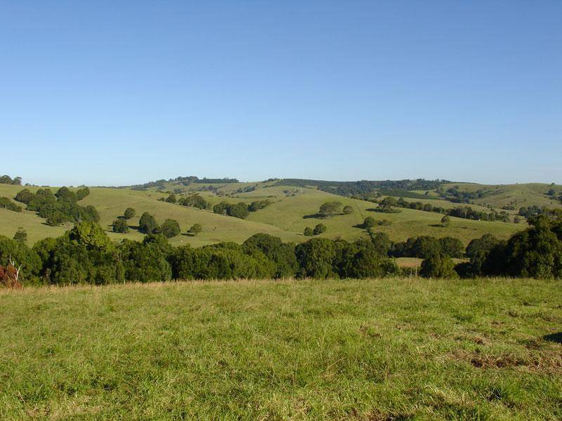 711 BANGALOW ROAD, Talofa NSW 2481