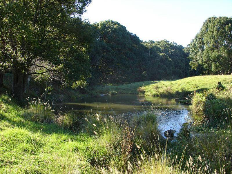 711 BANGALOW ROAD, Talofa NSW 2481