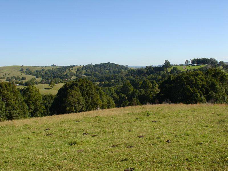 711 BANGALOW ROAD, Talofa NSW 2481