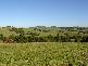 711 BANGALOW ROAD, Talofa NSW 2481