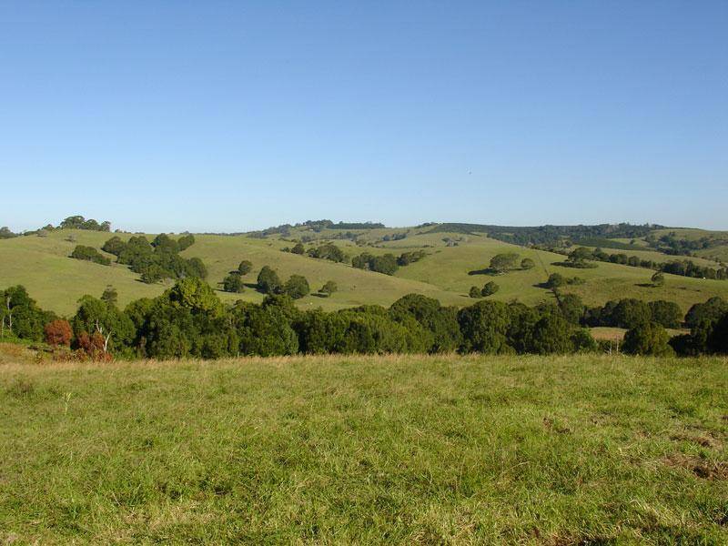 711 BANGALOW ROAD, Talofa NSW 2481