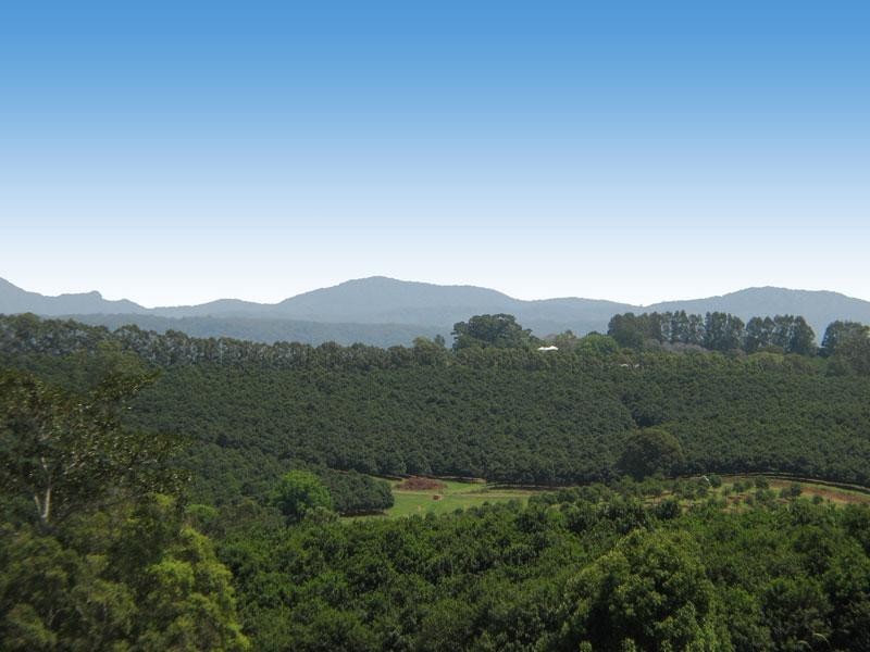 782 DUNCAN ROAD, Dunoon NSW 2480