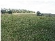 782 DUNCAN ROAD, Dunoon NSW 2480