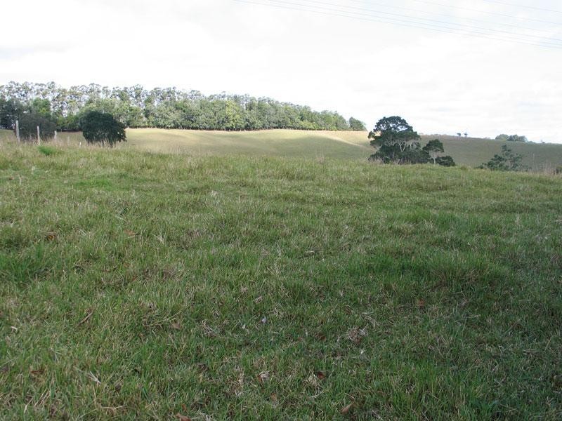 782 DUNCAN ROAD, Dunoon NSW 2480