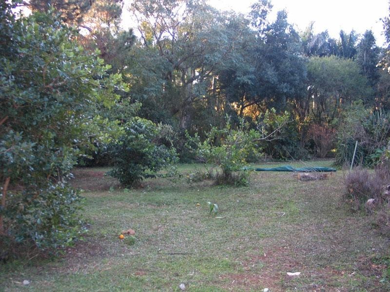 10 HAMBLY LANE, Newrybar NSW 2479