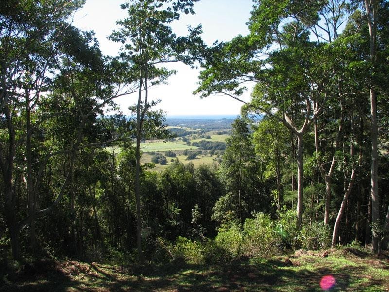 306 COOLAMON SCENIC DRIVE, Coorabell NSW 2479