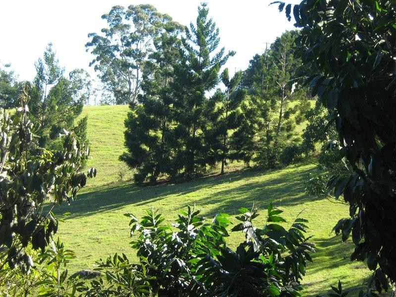 275 JAMES GIBSON ROAD, Clunes NSW 2480