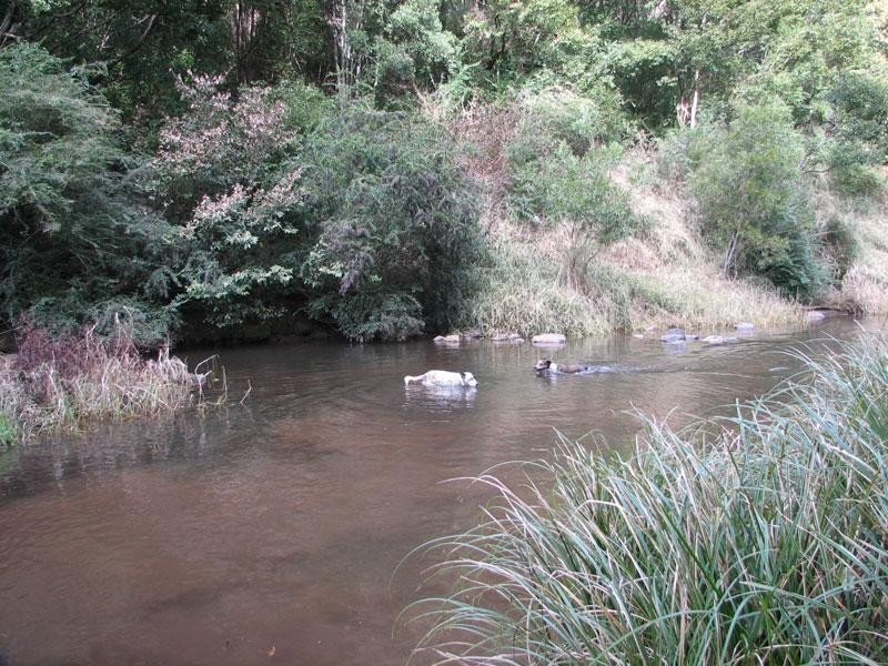 90 GENERAL STUBBS DRIVE, Rosebank NSW 2480