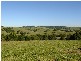 711 BANGALOW ROAD, Bangalow NSW 2479