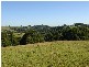 711 BANGALOW ROAD, Bangalow NSW 2479