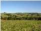 711 BANGALOW ROAD, Bangalow NSW 2479