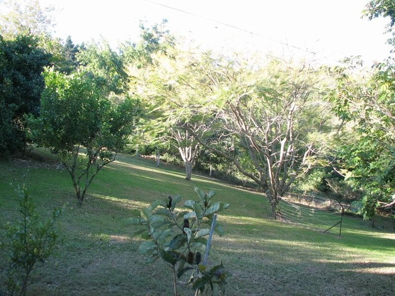 405 GOONENGERRY ROAD, Goonengerry NSW 2482