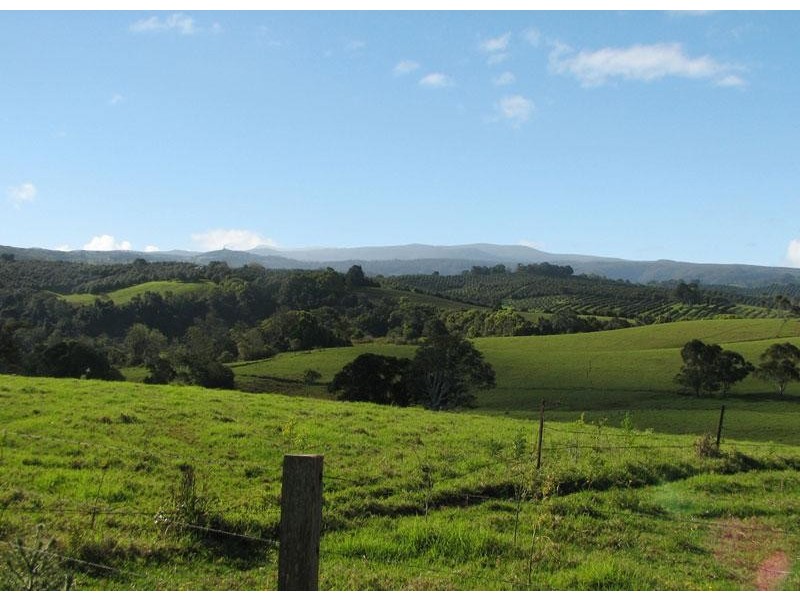 147 ROSEBANK ROAD, Rosebank NSW 2480