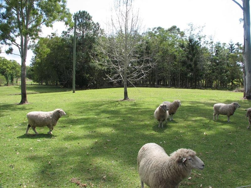 3 POINCIANA STREET, Mullumbimby NSW 2482