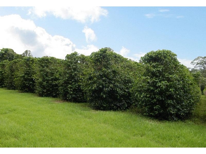 120 KIRKLANDS LANE, Fernleigh NSW 2479