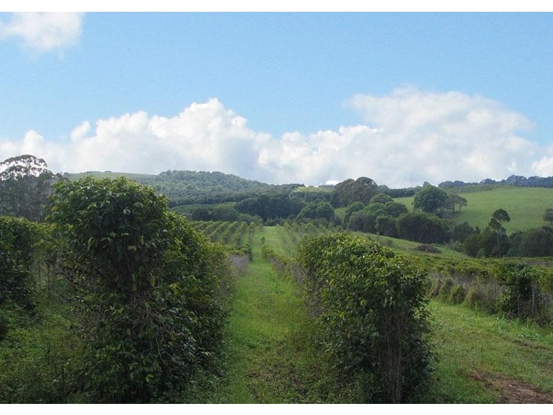 120 KIRKLANDS LANE, Fernleigh NSW 2479