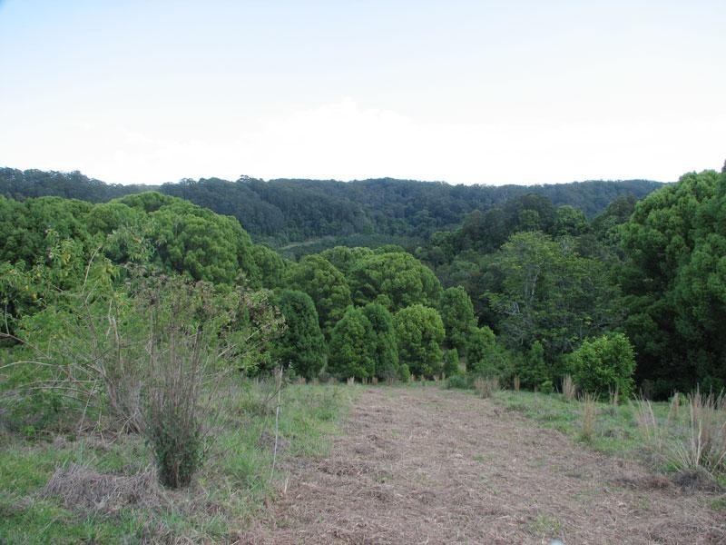 81 FOX ROAD, Rosebank NSW 2480