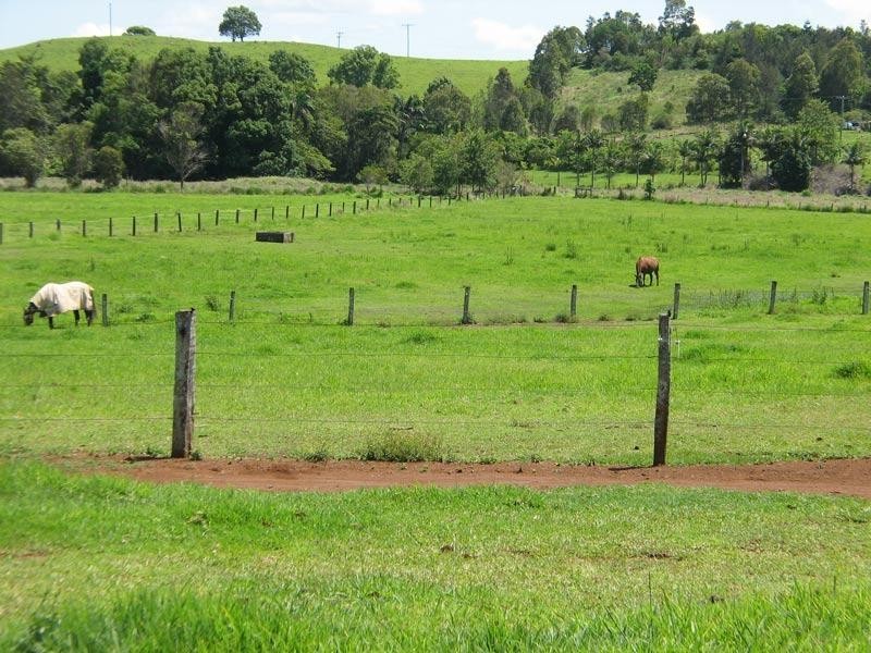 50 Myocum Downs Drive, Myocum NSW 2481