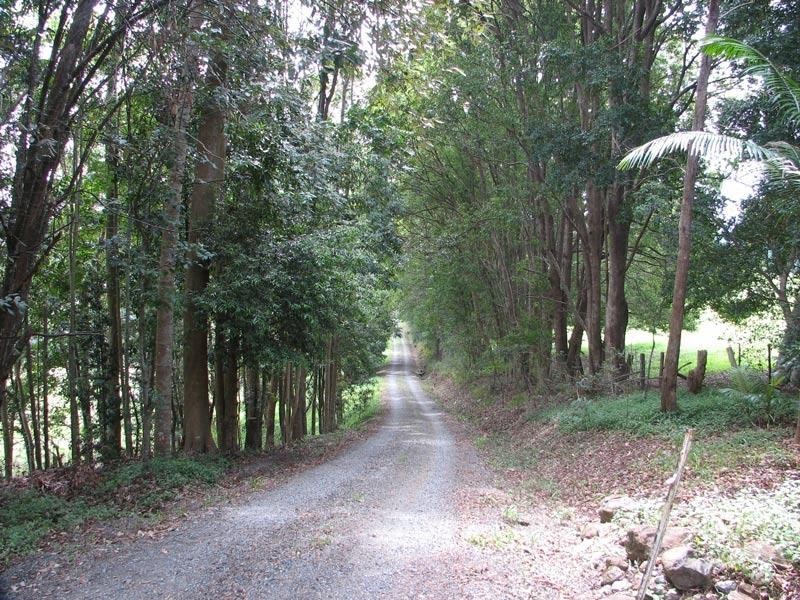 220 Friday Hut Road, Possum Creek NSW 2479