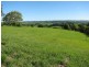 1281 Lismore Road, Clunes NSW 2480