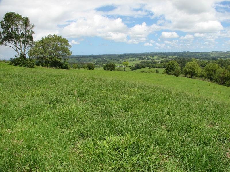1281 Lismore Road, Clunes NSW 2480