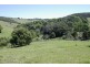 213 Coorabell Road, Coorabell NSW 2479