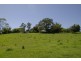 213 Coorabell Road, Coorabell NSW 2479