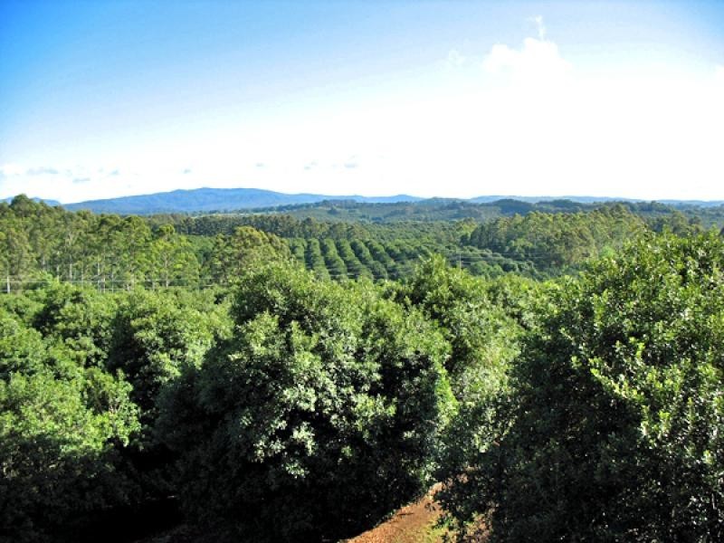 190 FLETCHER ROAD, Dunoon NSW 2480