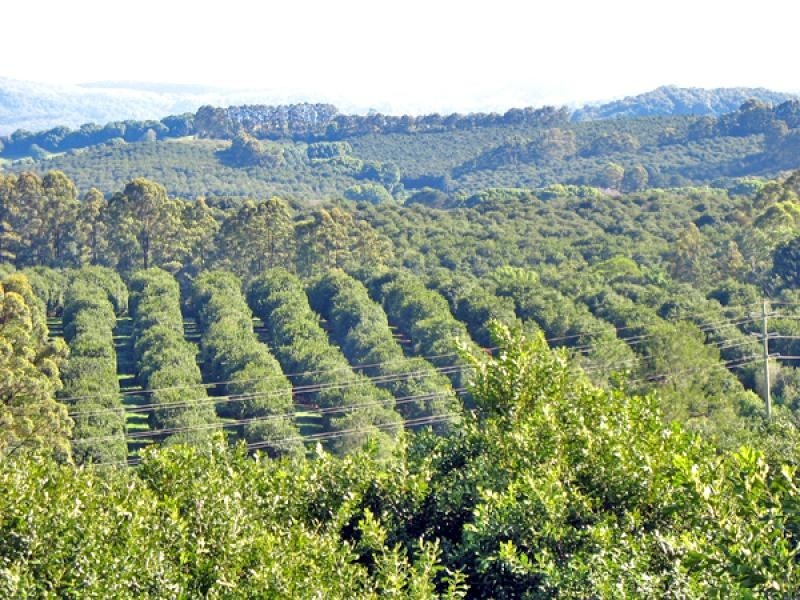 190 FLETCHER ROAD, Dunoon NSW 2480