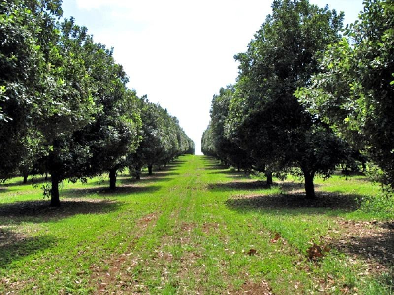 190 FLETCHER ROAD, Dunoon NSW 2480