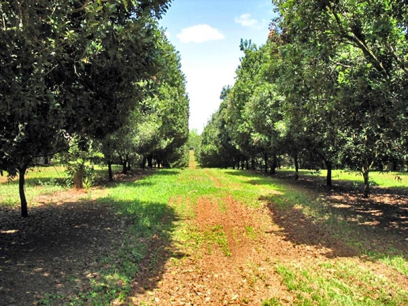 190 FLETCHER ROAD, Dunoon NSW 2480