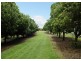 6 Munro Road, Dunoon NSW 2480