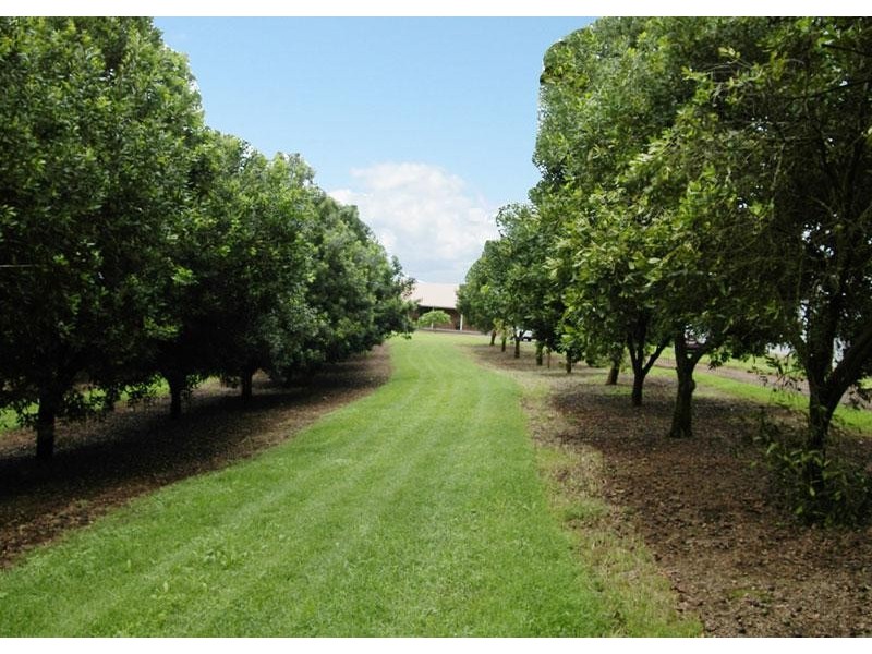 6 Munro Road, Dunoon NSW 2480