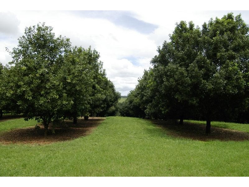 6 Munro Road, Dunoon NSW 2480