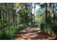 3 Pine Mountain Road, Possum Creek NSW 2479