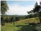 2 Tallowood Road, Possum Creek NSW 2479