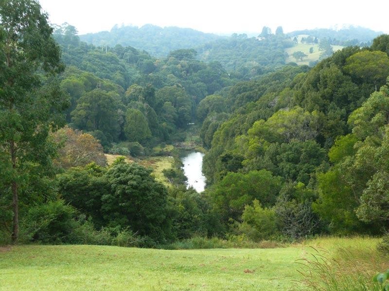 434 Repentance Creek Road, Rosebank NSW 2480