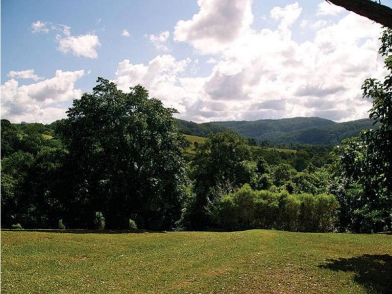 434 Repentance Creek Road, Rosebank NSW 2480