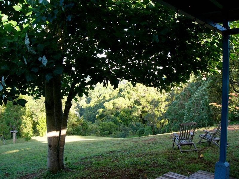 434 Repentance Creek Road, Rosebank NSW 2480